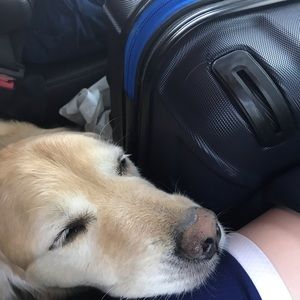 Meet your Posher, Marshall